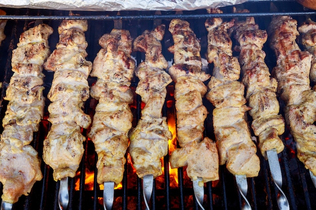 Shish kebab z mieszanką przypraw na grilla mięso w ogniu