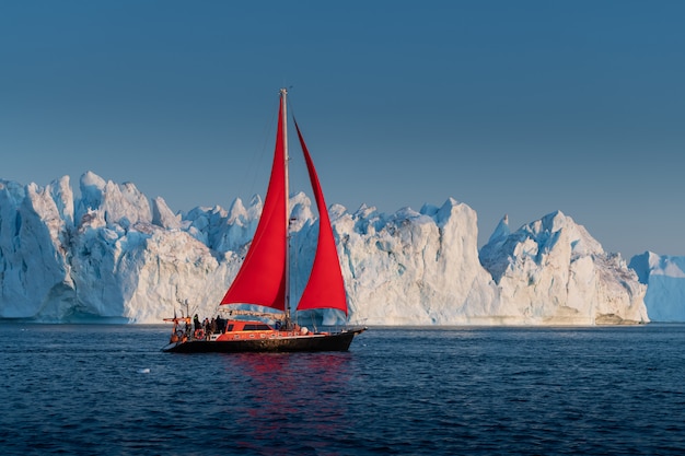 Sial czerwony i góry lodowe na Grenlandii
