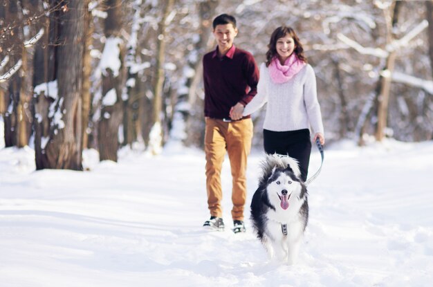 Siberian Husky Biegnie Przed Parą Spacerującą Po Zimowym Parku.