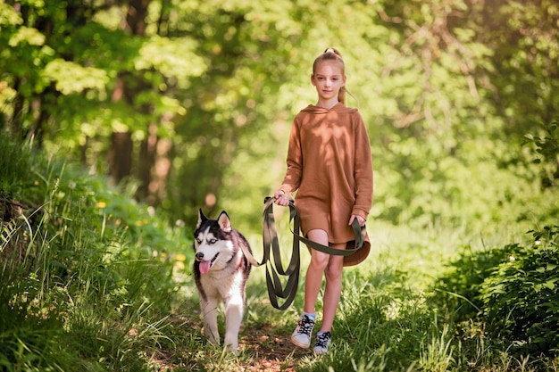 Siberian Husky I Jego Mała Właścicielka Spacerują Razem Drogą W Letnim Parku