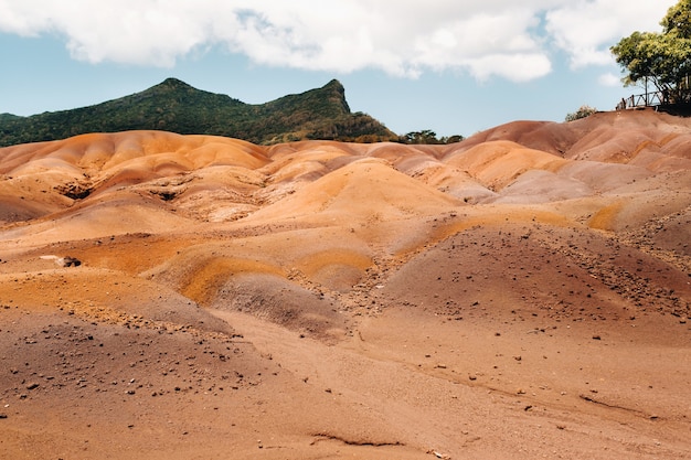 Siedem Kolorowych Ziem Na Mauritiusie, Rezerwat Przyrody, Chamarel. Za Nami Zielony Las.wyspa Mauritius