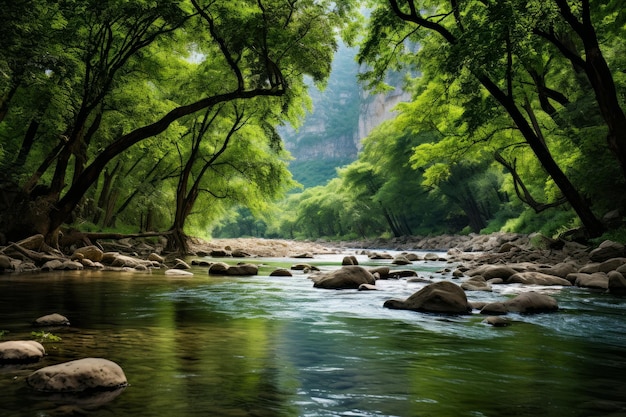 Sierra Madre Serenity Meksyk zdjęcie