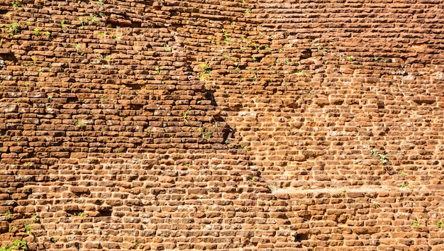 Sigiriya Sri Lanka, ściana świątyni Buddyjskiej, Słynne Na Całym świecie Malownicze Miejsce Turystyczne. Kamienna Góra. Atrakcje Pod Ochroną Unesco