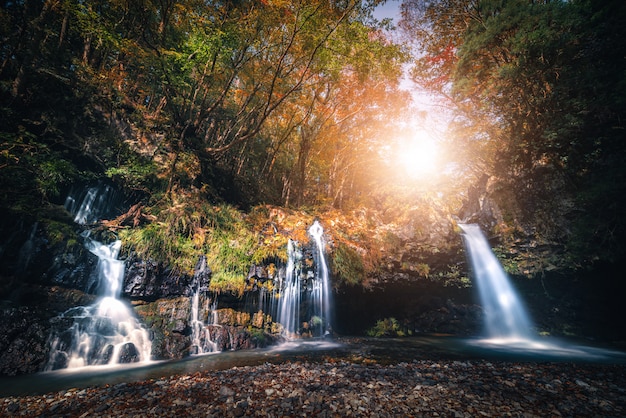 Siklawa Z Jesieni Ulistnieniem W Fujinomiya, Japonia.