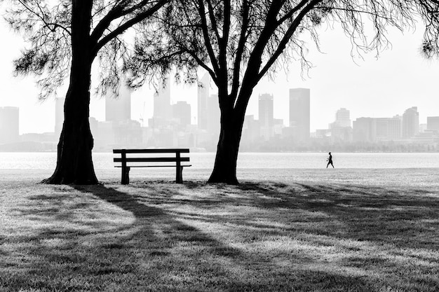Zdjęcie silhoueta ławki w parku przy drzewie w mglistą pogodę