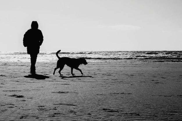 Zdjęcie silhueta mężczyzn z psem na plaży na tle nieba