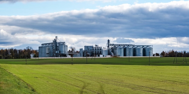 Silosy agro i nowoczesny elewator spichlerzy Silosy srebrne na zakładzie agroprzetwórczym i produkcyjnym do przetwarzania, suszenia, czyszczenia i przechowywania produktów rolnych mąka zboża i zboża