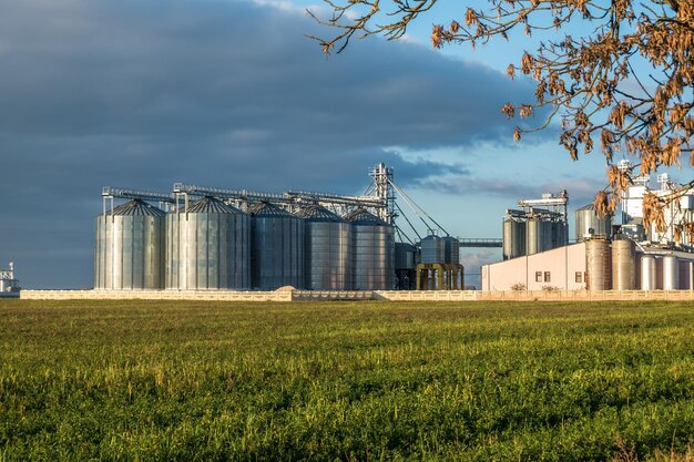 Silosy srebrne na zakładzie produkcji rolnej do przetwórstwa, suszenia, czyszczenia i przechowywania produktów rolnych, mąki, zbóż i zbóż