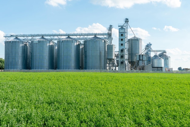 Silosy srebrne na zakładzie produkcji rolnej do przetwórstwa suszenie czyszczenie i przechowywanie produktów rolnych mąka zboża i zboża Duże żelazne beczki na ziarno Elewator spichlerza