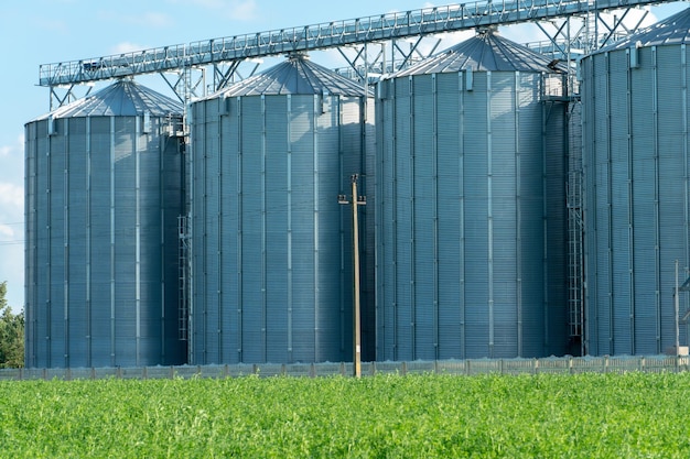 Silosy srebrne na zakładzie produkcji rolnej do przetwórstwa suszenie czyszczenie i przechowywanie produktów rolnych mąka zboża i zboża Duże żelazne beczki na ziarno Elewator spichlerza