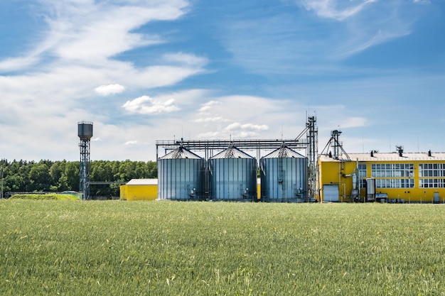 Silosy srebrne na zakładzie rolno-przetwórczym do przetwórstwa, suszenia, czyszczenia i przechowywania płodów rolnych mąka zboża i zboże Elewator spichlerzy