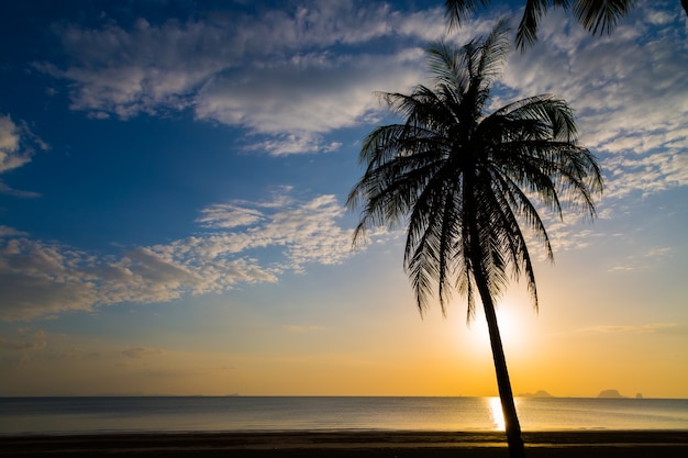 Siluate kokosowy drzewo na plaży przed zmierzchu tłem