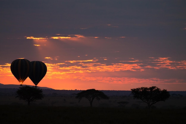 Zdjęcie siluweta balonu na gorące powietrze na polu przeciwko niebu podczas zachodu słońca
