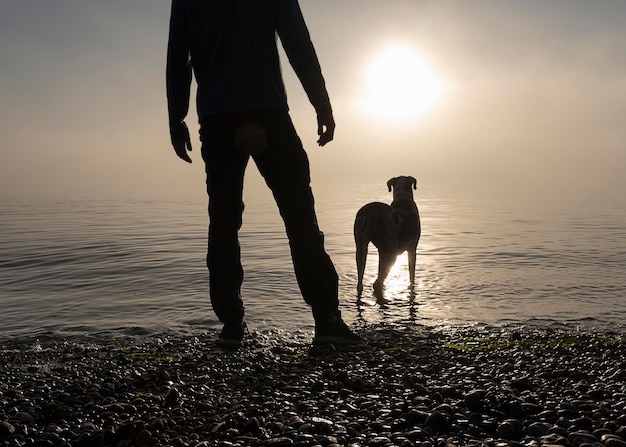 Zdjęcie siluweta człowieka i psa na brzegu na plaży na tle nieba podczas zachodu słońca