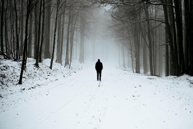 Zdjęcie siluweta człowieka w pokrytym śniegiem lesie