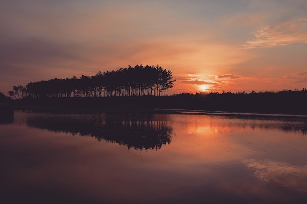 Siluweta drzew przy jeziorze na tle nieba podczas zachodu słońca