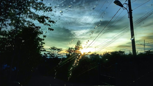 Zdjęcie siluwety drzew na tle nieba widziane przez szkło