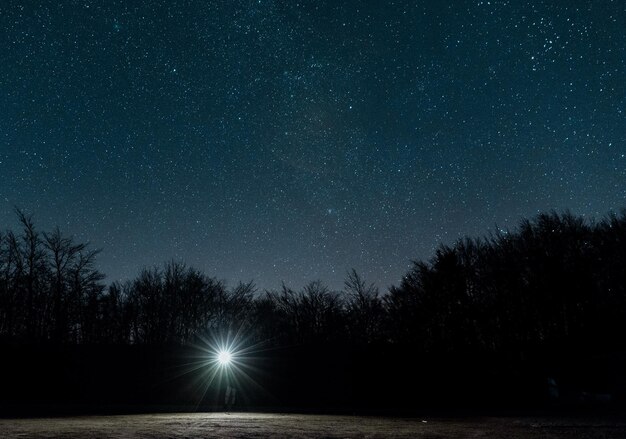 Zdjęcie siluwety drzew na tle nocnego nieba