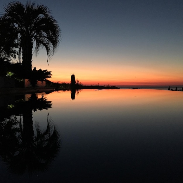Zdjęcie siluwety palm na plaży na tle jasnego nieba przy zachodzie słońca