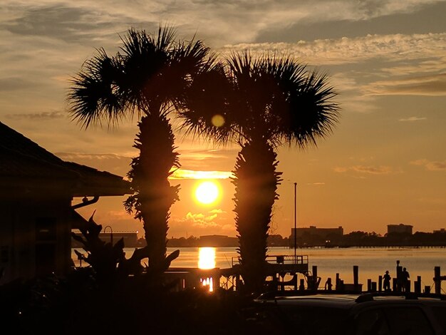 Zdjęcie siluwety palm na plaży na tle nieba podczas zachodu słońca