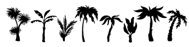 Siluwety palm Różnorodność roślin egzotycznych czarne tropikalne dżungle elementy letnia flora lasy deszczowe obiekty botaniczne subtropikalny klimat gałęzie luksusowe wektory odizolowany zestaw