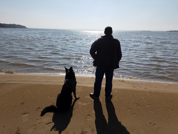 Zdjęcie silwetki ludzi na plaży na tle jasnego nieba