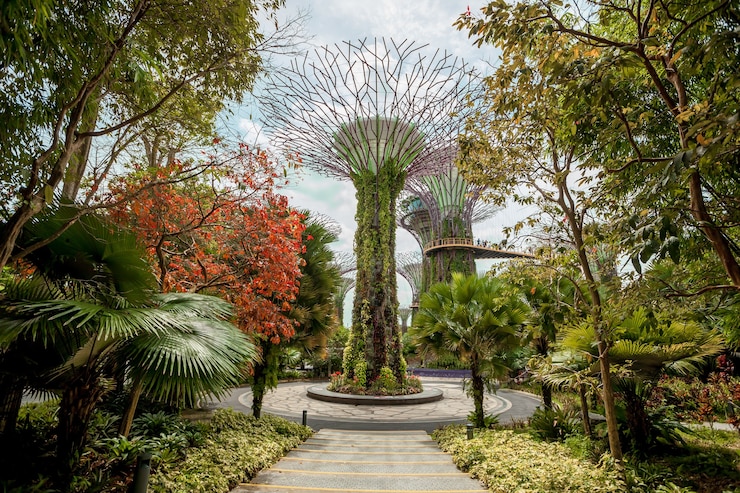 Zdjęcie singapore gardens by the bay