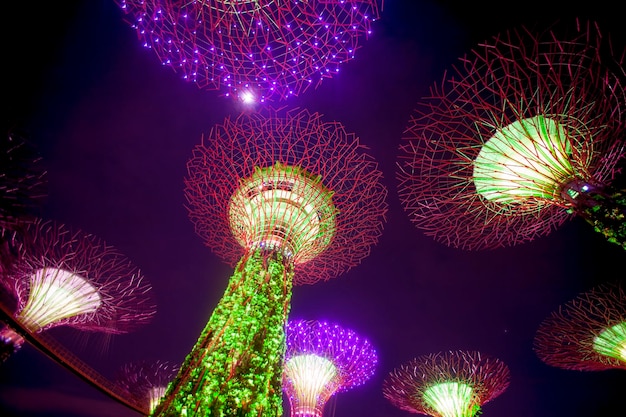 SINGAPUR 08 stycznia 2014 Miejski krajobraz Singapuru Nocny widok na Supertree Grove w Gardens by the Bay