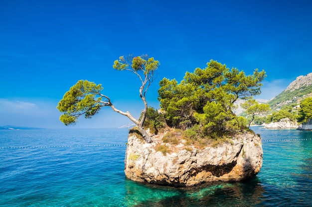 Skała Brela W Pobliżu Plaży Punta Rata, Riwiera Makarska, Chorwacja