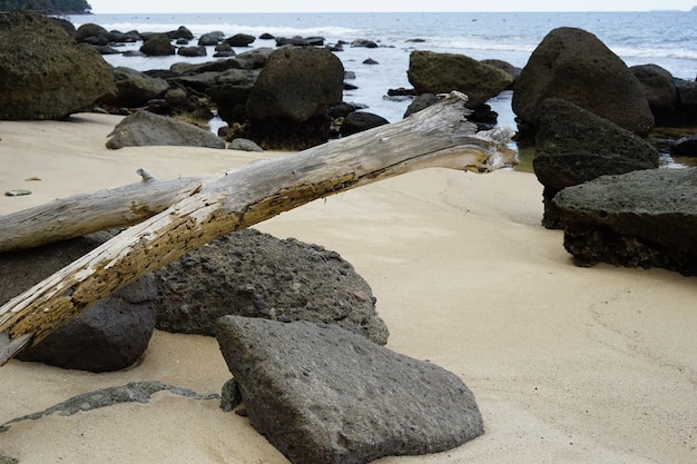 Skała I Drewno Na Plaży Używane Jako Tło