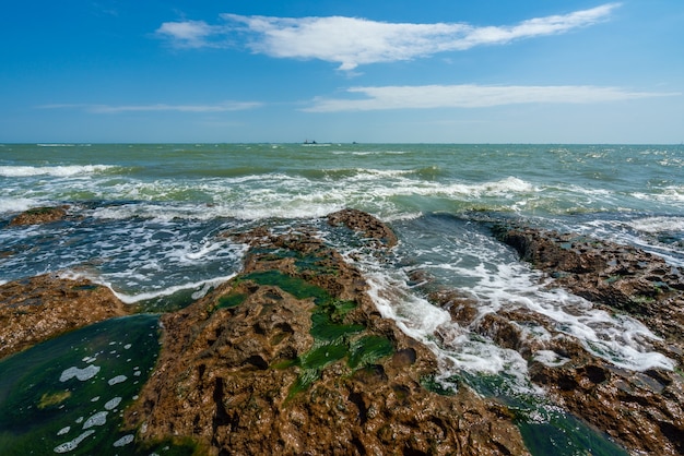 Skaliste Wybrzeże I Fale Sztormowe