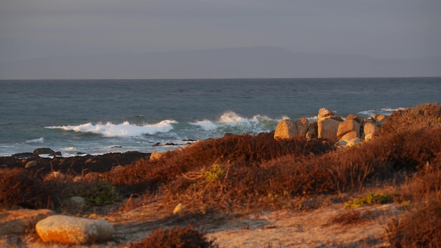 Skaliste wybrzeże oceanu dramatyczne fale morskie plaża Monterey w Kalifornii ptaki latające