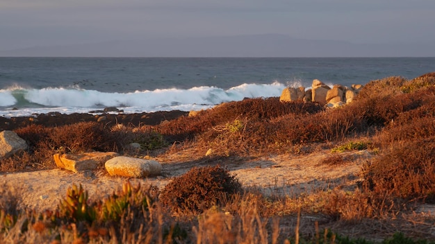 Skaliste wybrzeże oceanu dramatyczne fale morskie plaża Monterey w Kalifornii ptaki latające
