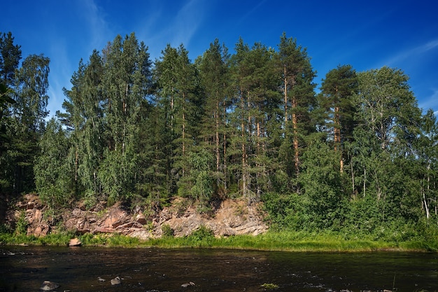 Zdjęcie skalisty brzeg rzeki z lasem mieszanym