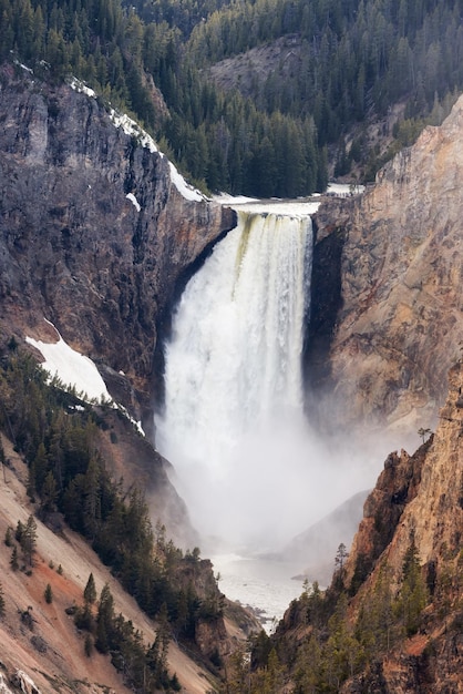 Skalisty kanion i rzeka w amerykańskim krajobrazie wielki kanion Yellowstone