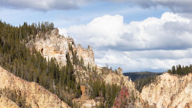 Skalisty kanion w amerykańskim krajobrazie wielki kanion Yellowstone