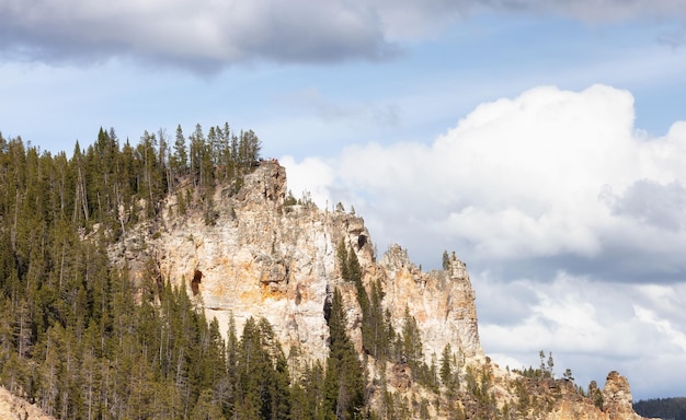 Skalisty kanion w amerykańskim krajobrazie wielki kanion Yellowstone