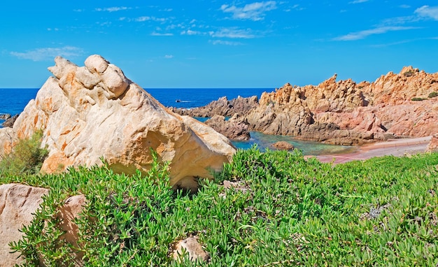 Skały i roślinność w Costa Paradiso Sardinia