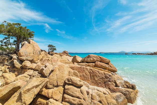 Skały i rośliny na plaży Capriccioli na Costa Smeralda we Włoszech