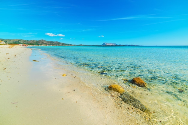 Skały na plaży Cala d'Ambra Sardynia