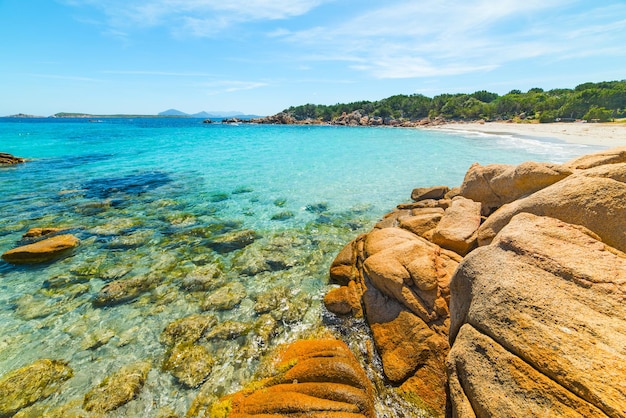 Skały na plaży Capriccioli na Costa Smeralda we Włoszech