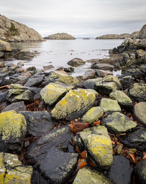 Skały pokryte porostami, oceanem i wyspami. Urd wyspa na archipelagu Rovaer w Haugesund, norweskie zachodnie wybrzeże. obraz pionowy