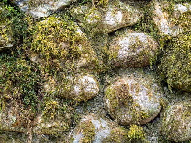 Skały porośnięte mchem Naturalne tło skał