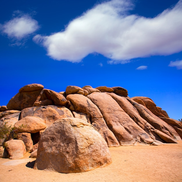 skały w Joshua tree National Park w Kalifornii