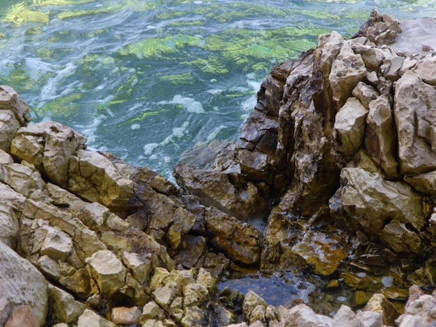 Zdjęcie skały w morzu
