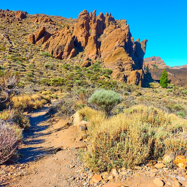 Skały w Parku Narodowym Teide na Teneryfie, Wyspy Kanaryjskie