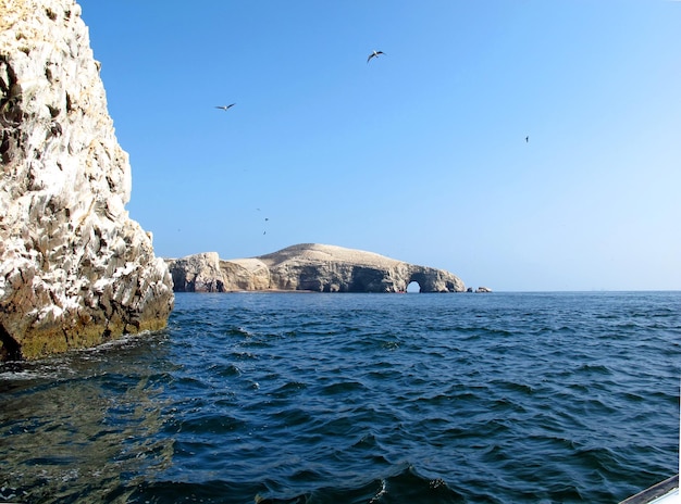 Skały ze zwierzętami na Oceanie Spokojnym Paracas Peru