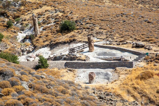 Skamieniały pień drzewa z Geoparku UNESCO „Skamieniały Las Sigri” na wyspie Lesbos w Grecji. Grecja Las kopalny Lesbos