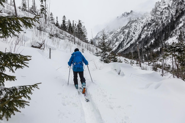 Skitour przewodnik prowadzi grupę w zagrożonym lawinami terenie backcountry w zaśnieżonych Tatrach Wysokich na Słowacji