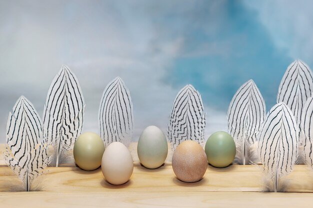 Skład jaj i piór na niebieskim tle akwarela.